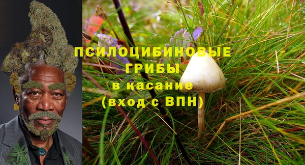 мяу мяу мука Верхнеуральск