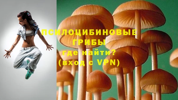 jwh Верея